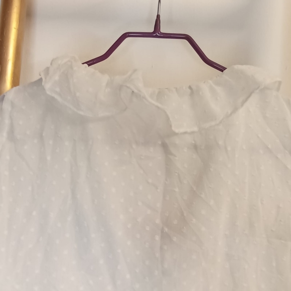 Zara Boho Frill Sheer Top - Picture 14 of 14